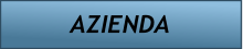 AZIENDA